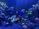 IMG_4041.jpeg