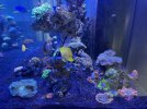 IMG_4055.jpeg