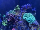 IMG_4057.jpeg