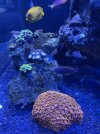 IMG_4059.jpeg