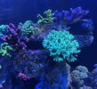IMG_4072.jpeg