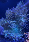 IMG_4065.jpeg