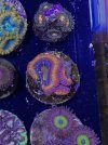 IMG_7607.jpeg