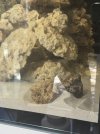 IMG_4701.jpeg