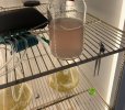 IMG_5107.jpeg