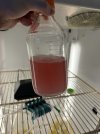 IMG_4307.jpeg