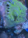 IMG_9267.jpeg