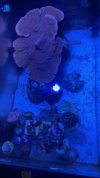 IMG_6227.jpeg