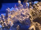 IMG_1034.jpeg