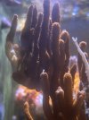 IMG_1035.jpeg