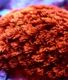 IMG_9429.jpeg