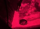 IMG_4811.jpeg