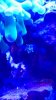 IMG_20161207_174500571.jpg