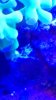 IMG_20161207_174541257.jpg
