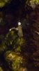 IMG_20161207_195828631.jpg