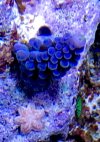 IMG_0010.jpeg