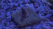 IMG_8554.jpeg
