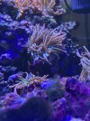 IMG_6416.jpeg