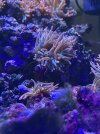 IMG_6417.jpeg