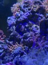 IMG_6418.jpeg