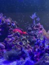 IMG_6419.jpeg