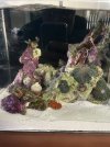 IMG_5092.jpeg
