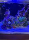 IMG_5094.jpeg