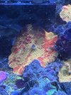 IMG_1753.jpeg
