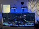 IMG_1754.jpeg