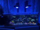 IMG_1756.jpeg