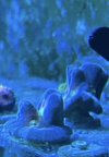 IMG_2595.jpeg