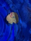 IMG_1768.jpeg