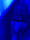IMG_3339.jpeg