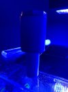 IMG_3341.jpeg
