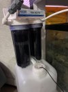 IMG_7127.jpeg