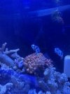 IMG_6729.jpeg