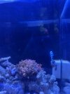 IMG_6730.jpeg