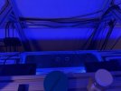 IMG_5379.jpeg