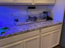IMG_2562.jpg