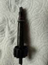 IMG_7352.jpeg
