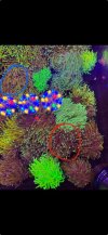 IMG_4309.jpeg