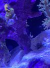 IMG_5272.jpeg