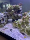 IMG_2209.jpeg
