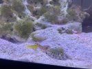 IMG_2220.jpeg