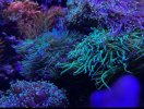 IMG_1852.jpeg