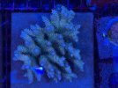 IMG_6570.jpeg