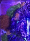 IMG_2731.JPG