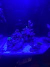 IMG_3199.jpeg