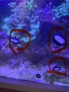 IMG_1024.jpeg