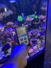 IMG_3166.jpeg